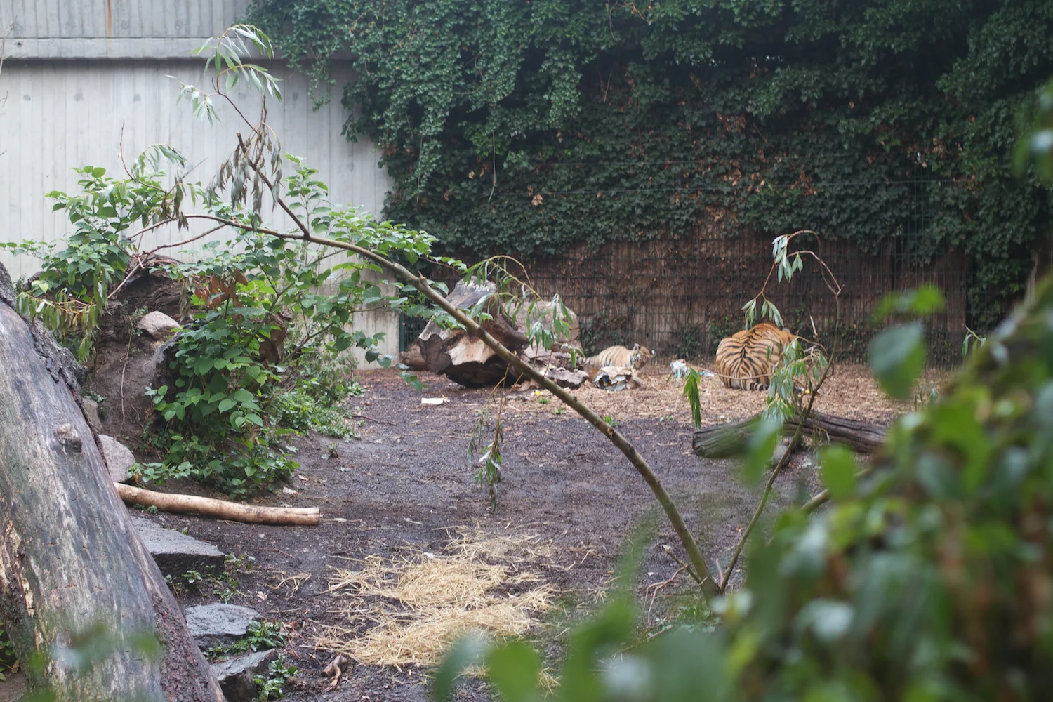 Anna gal bogorm 2013_08_08 161.jpg