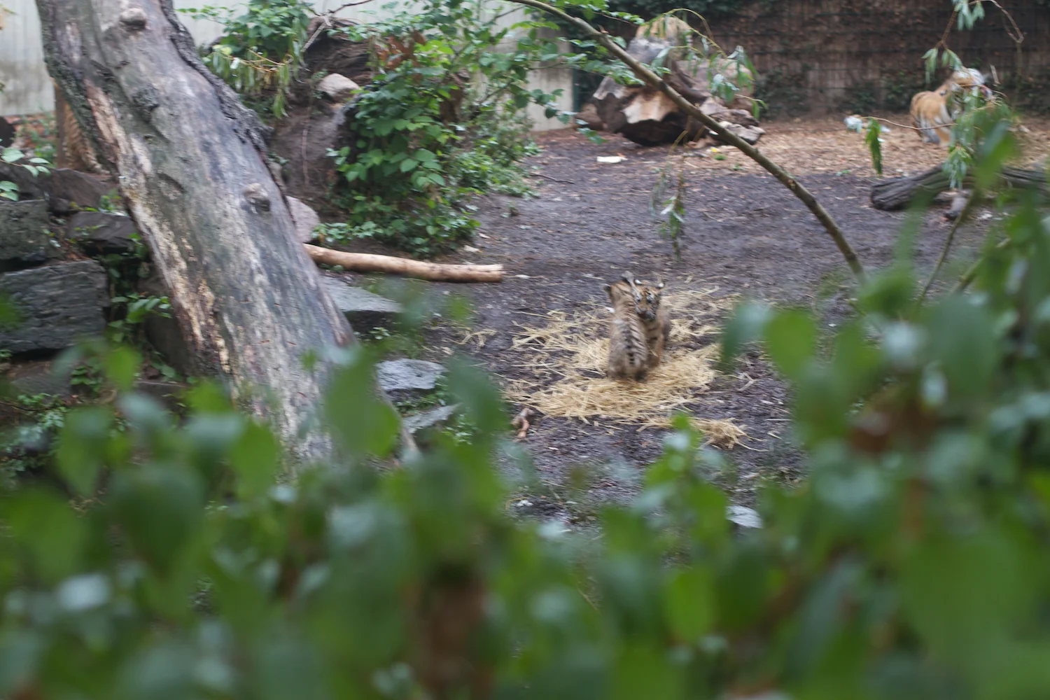 Anna gal bogorm 2013_08_08 168.jpg