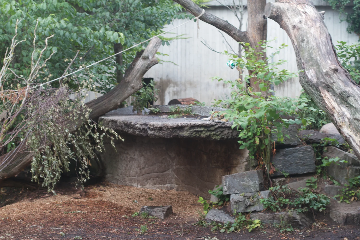 Anna gal bogorm 2013_08_08 180.jpg