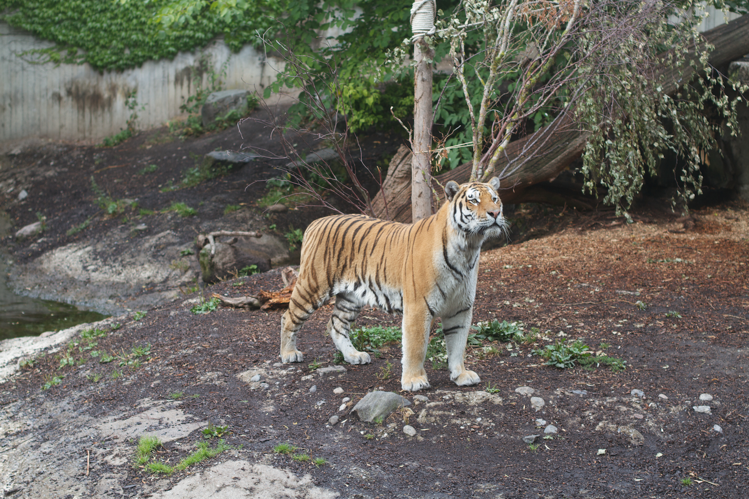 Anna gal bogorm 2013_08_08 181.jpg