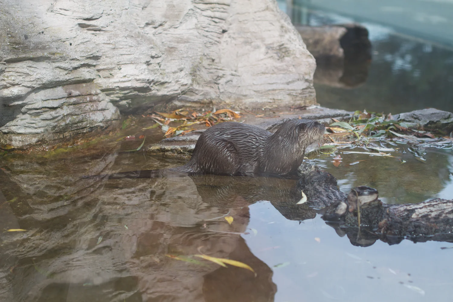 Anna gal bogorm 2013_08_08 185.jpg