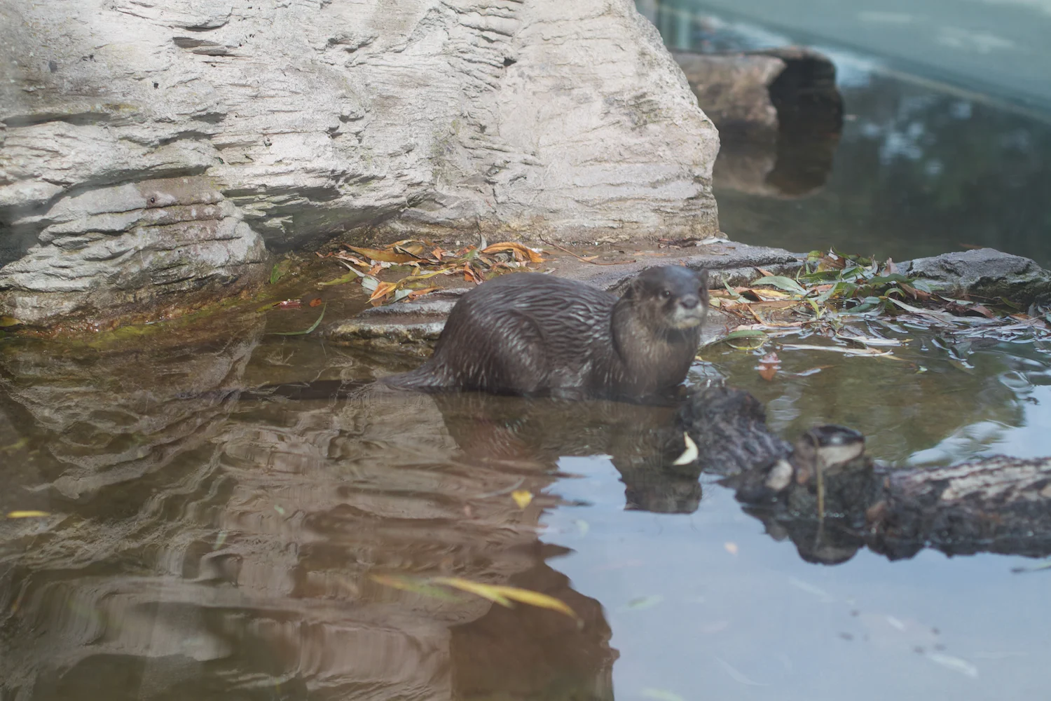 Anna gal bogorm 2013_08_08 186.jpg