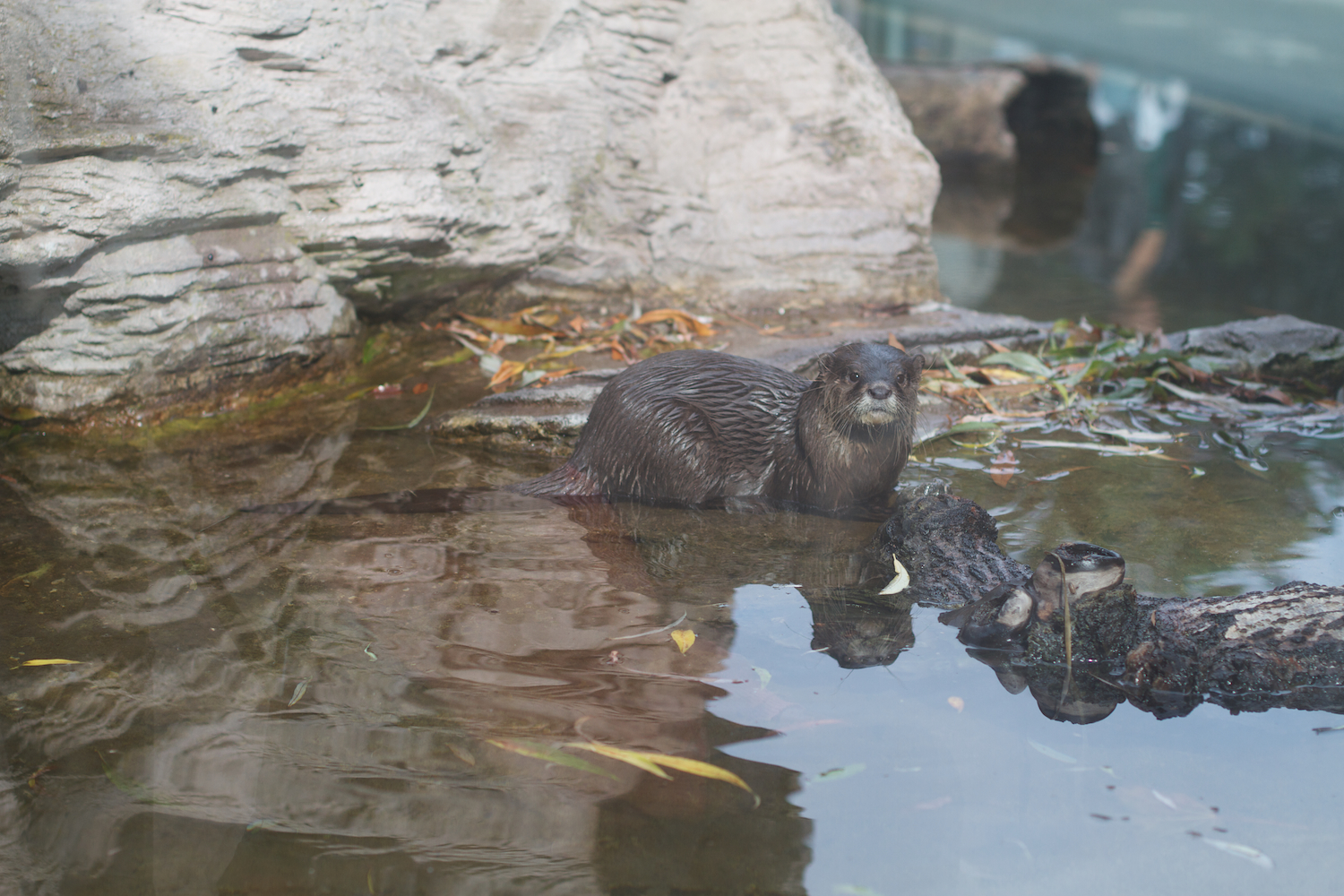 Anna gal bogorm 2013_08_08 187.jpg