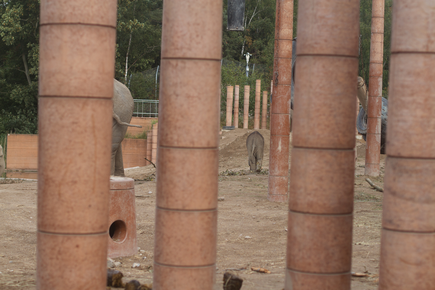 Anna gal bogorm 2013_08_08 189.jpg