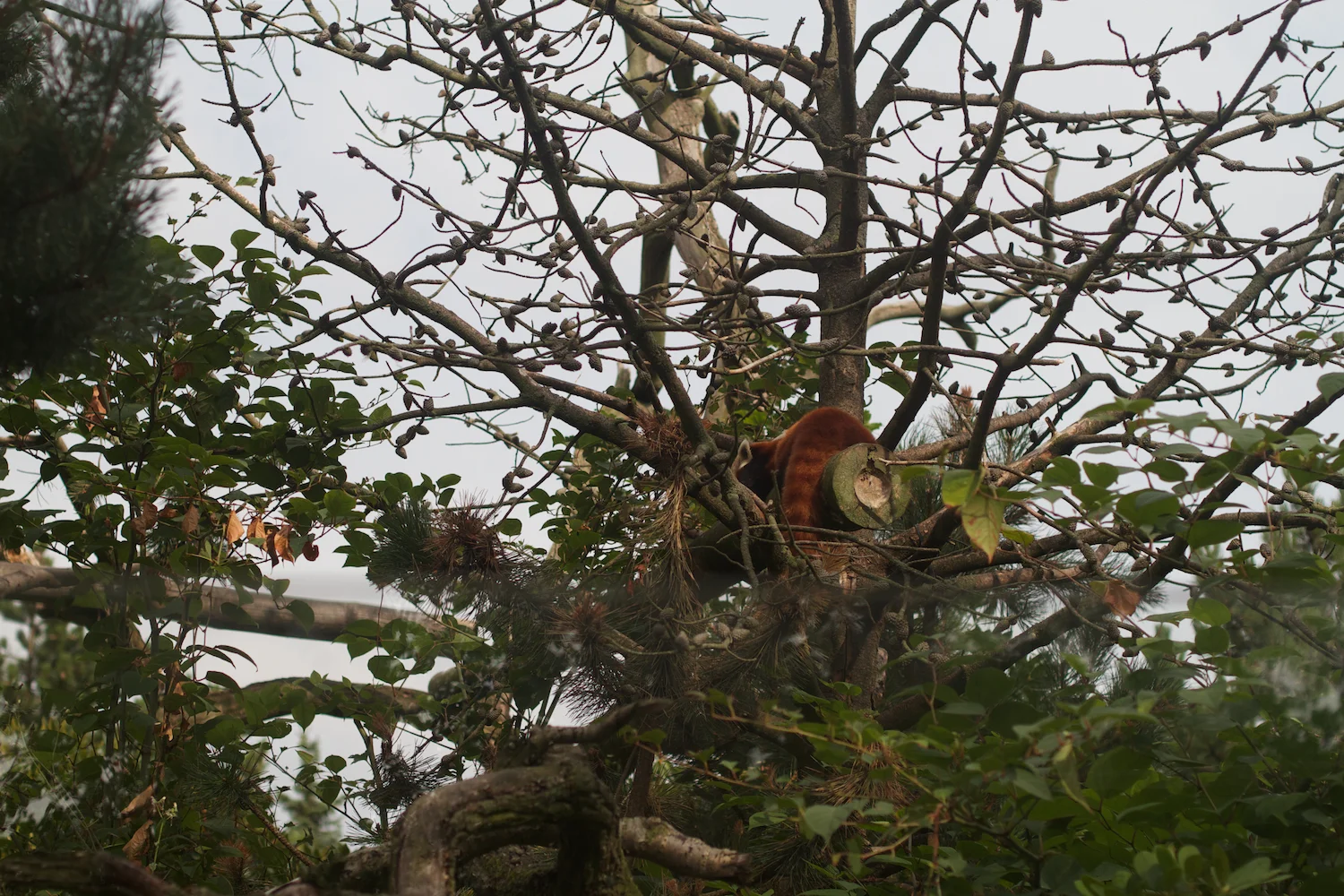 Anna gal bogorm 2013_08_08 188.jpg