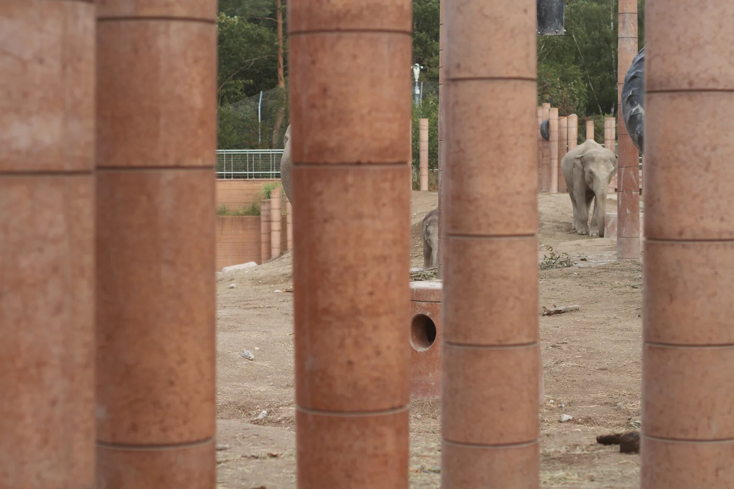 Anna gal bogorm 2013_08_08 191.jpg