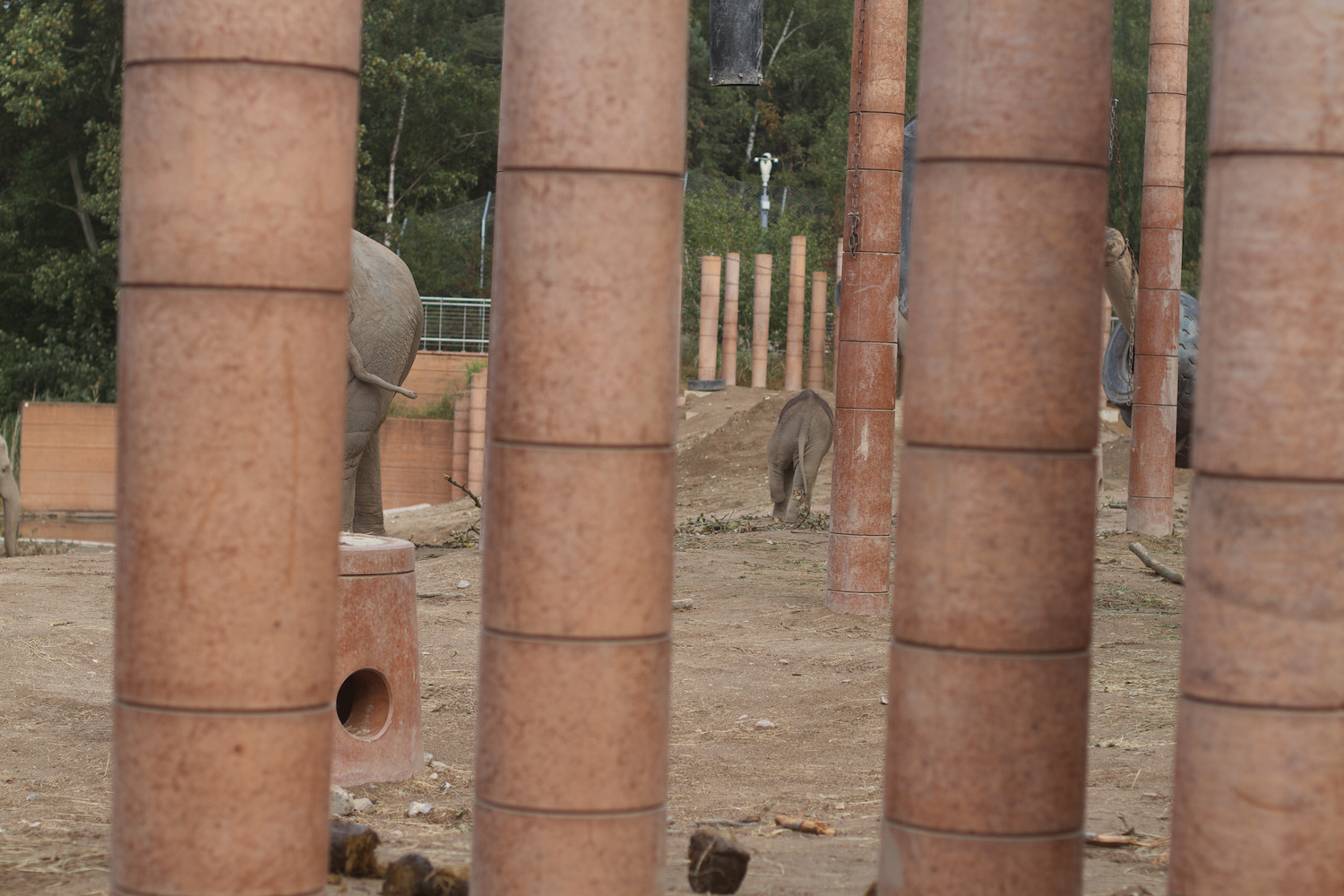 Anna gal bogorm 2013_08_08 190.jpg