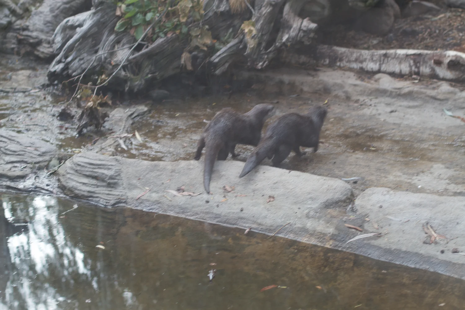 Anna gal bogorm 2013_08_08 195.jpg