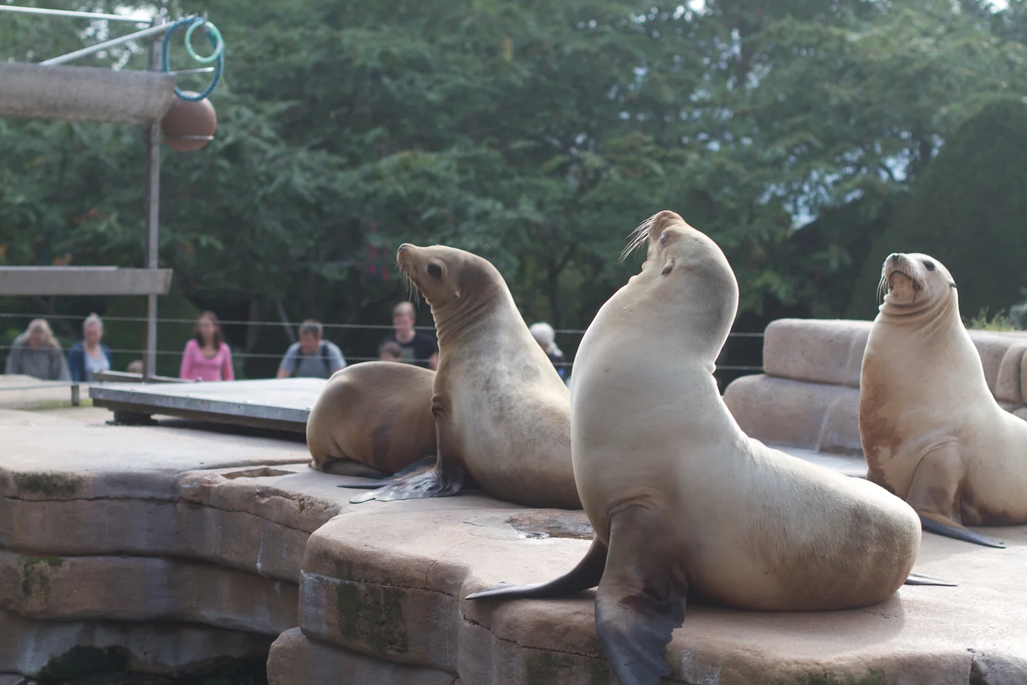 Anna gal bogorm 2013_08_08 198.jpg