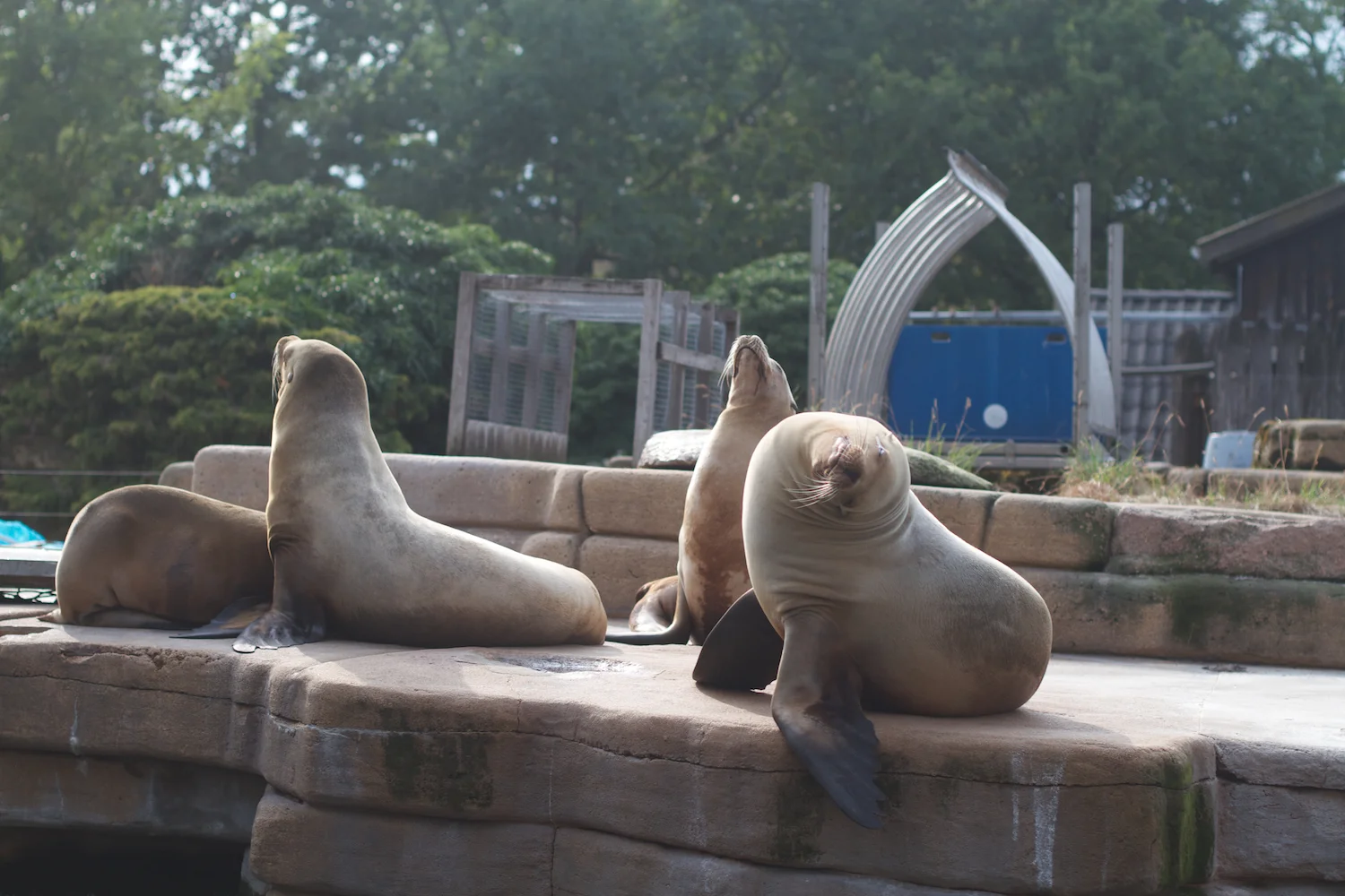 Anna gal bogorm 2013_08_08 197.jpg