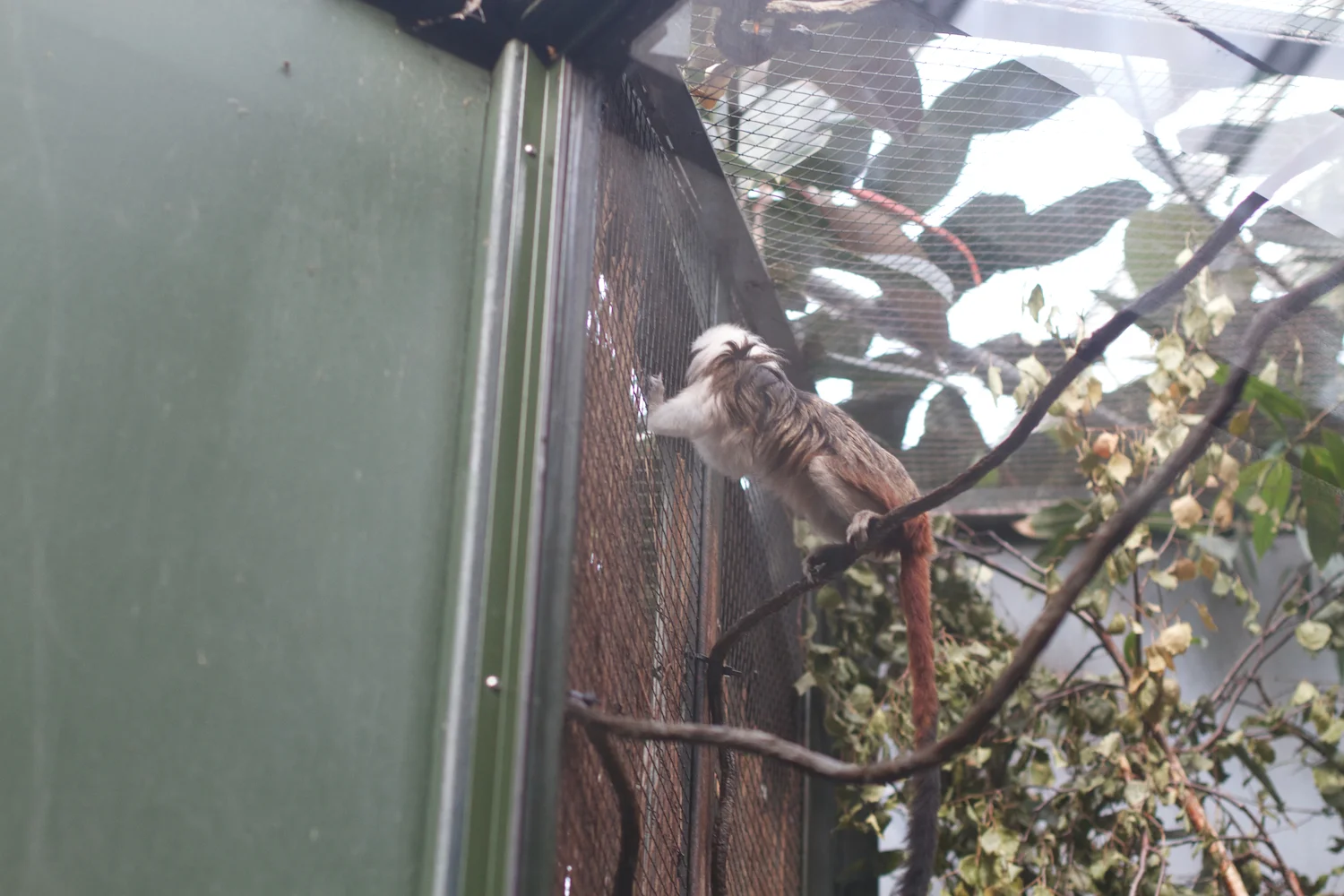 Anna gal bogorm 2013_08_08 200.jpg