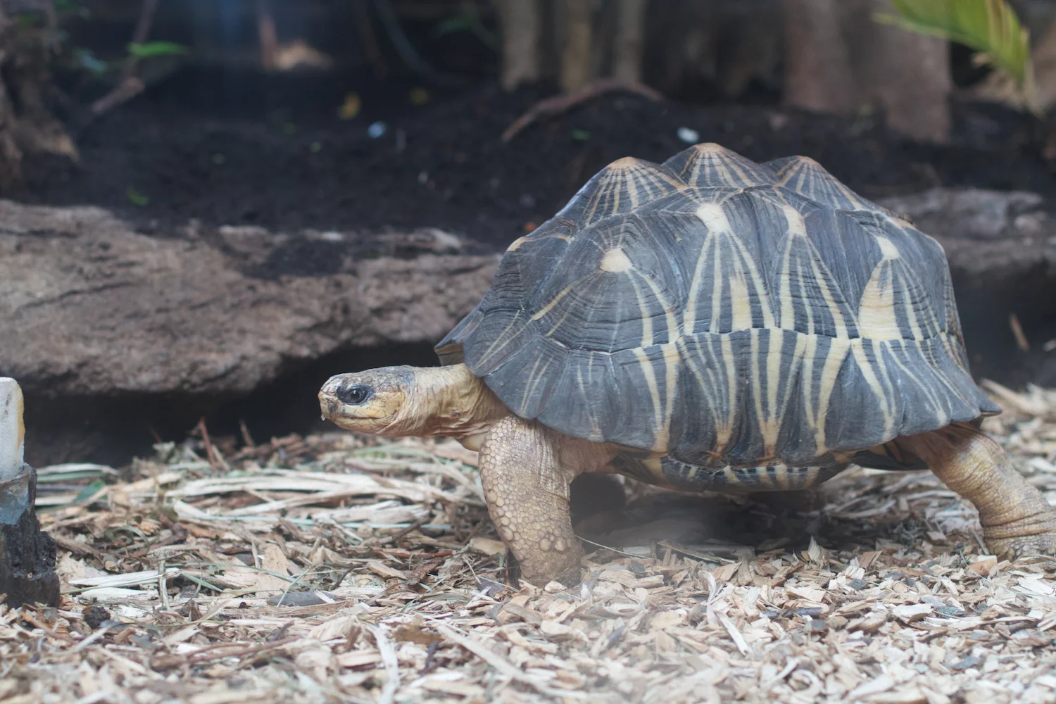 Anna gal bogorm 2013_08_08 199.jpg