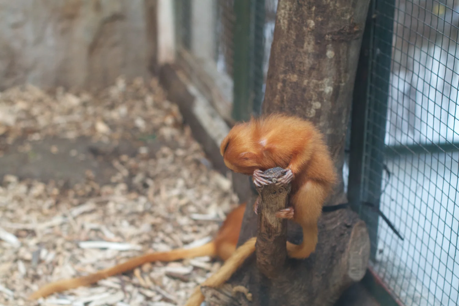 Anna gal bogorm 2013_08_08 202.jpg