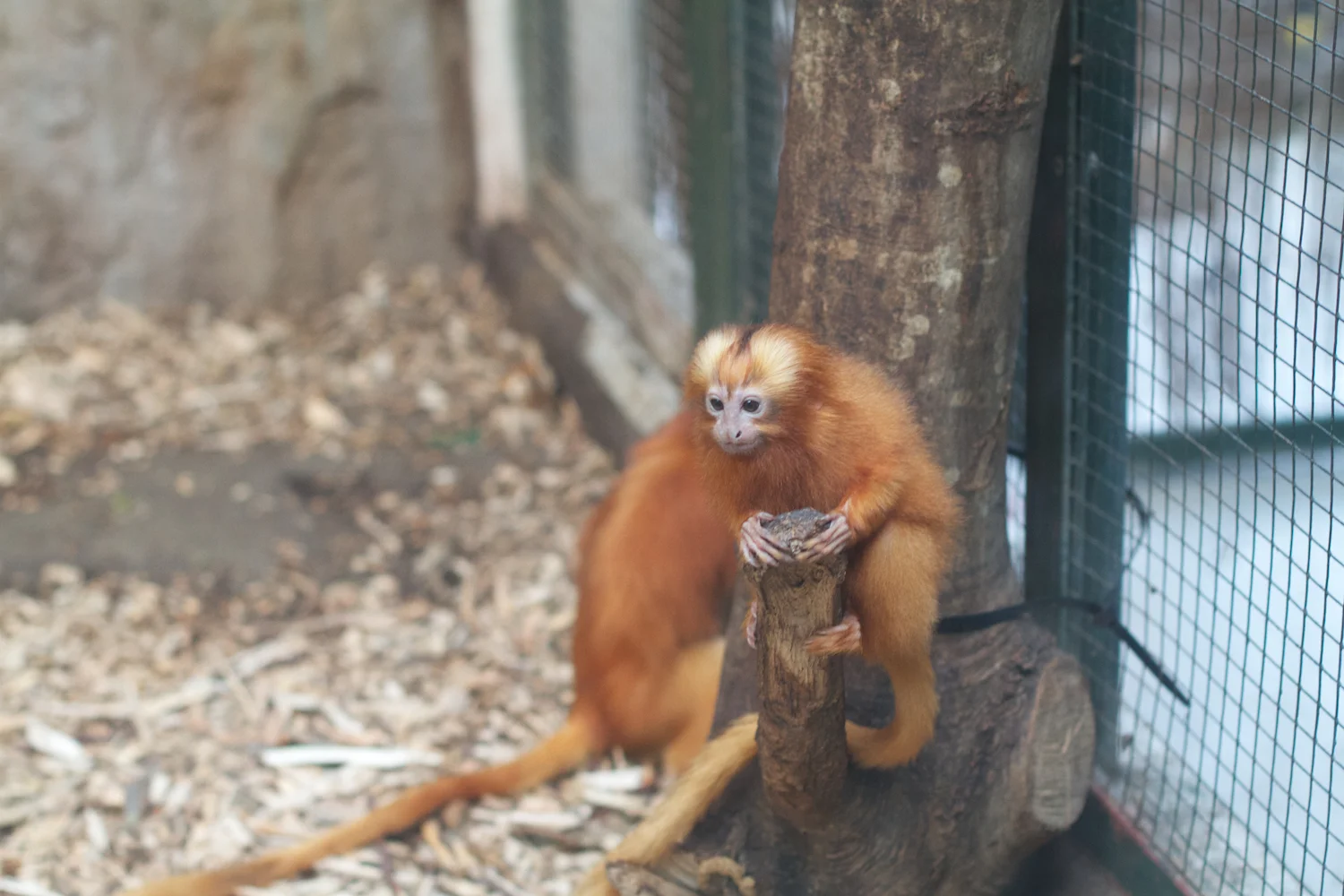 Anna gal bogorm 2013_08_08 201.jpg