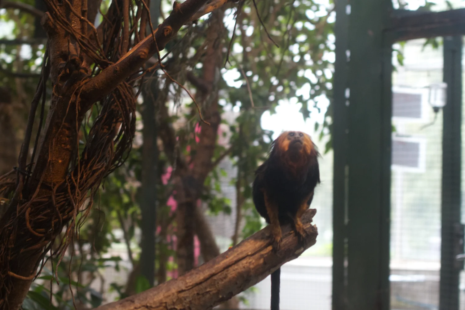 Anna gal bogorm 2013_08_08 204.jpg