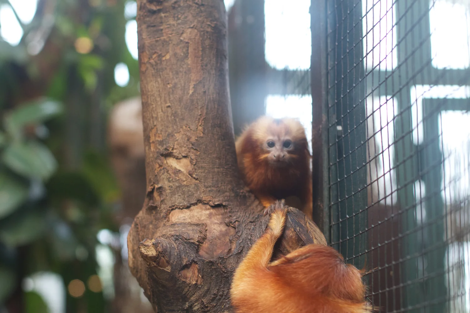 Anna gal bogorm 2013_08_08 205.jpg