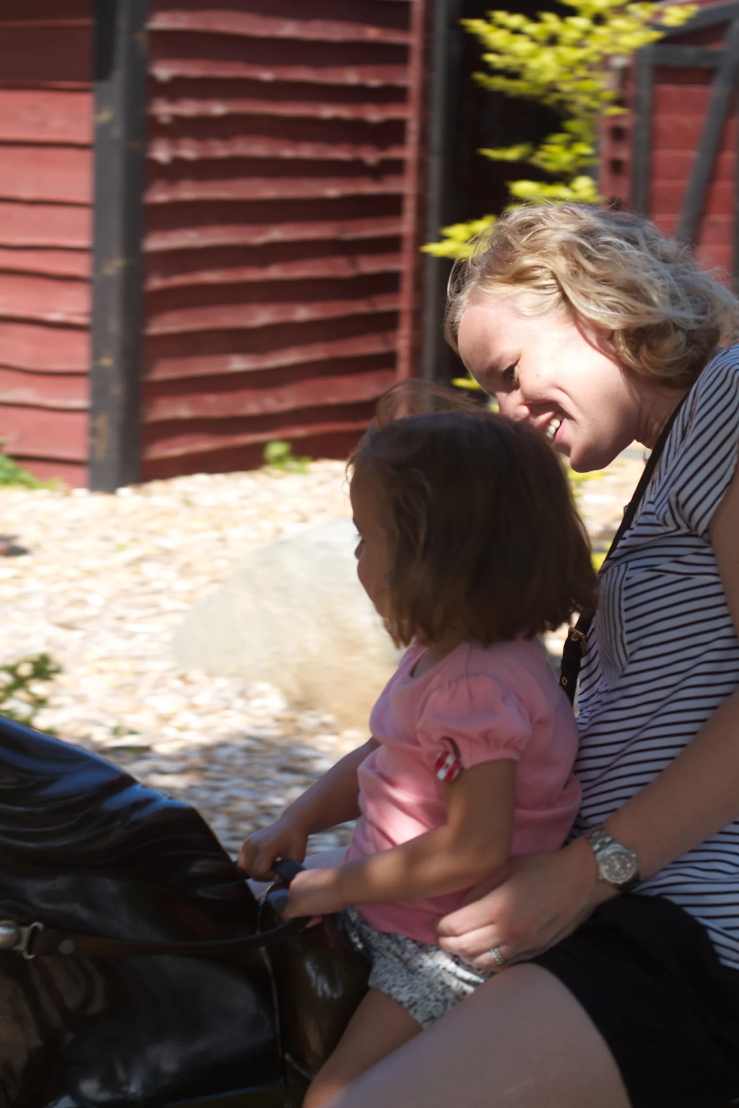 Djurs 2013 2013_07_22 2.jpg