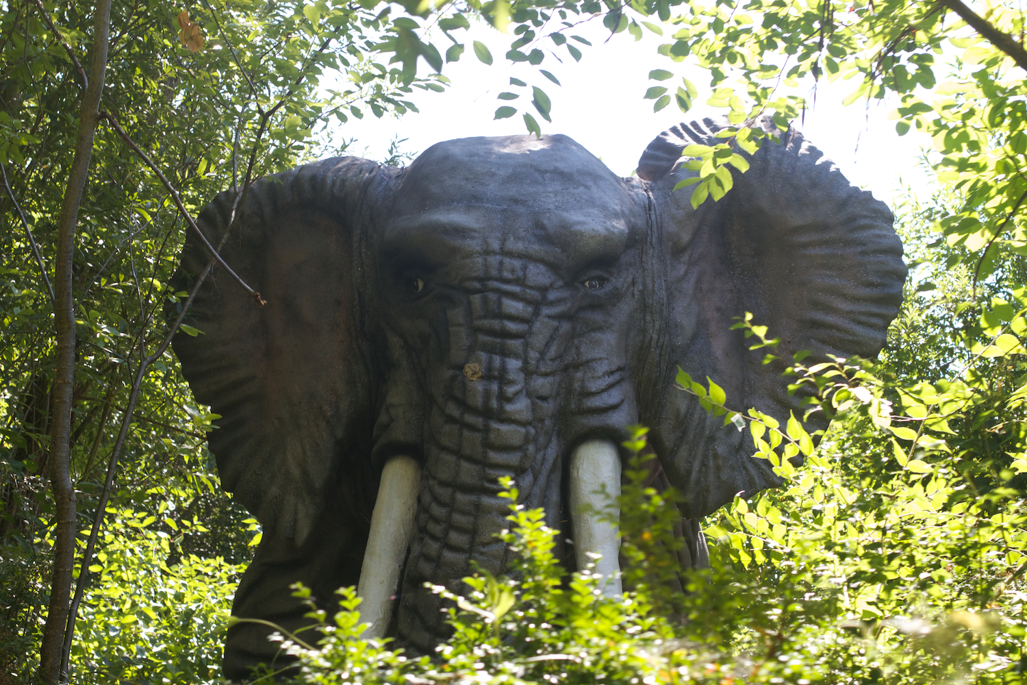 Djurs 2013 2013_07_23 9.jpg