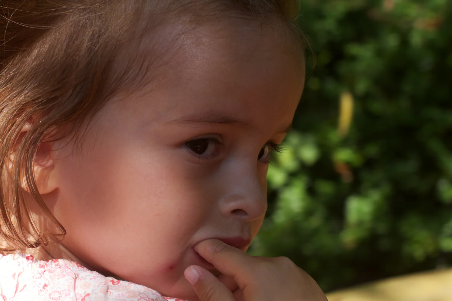 Djurs 2013 2013_07_23 11.jpg