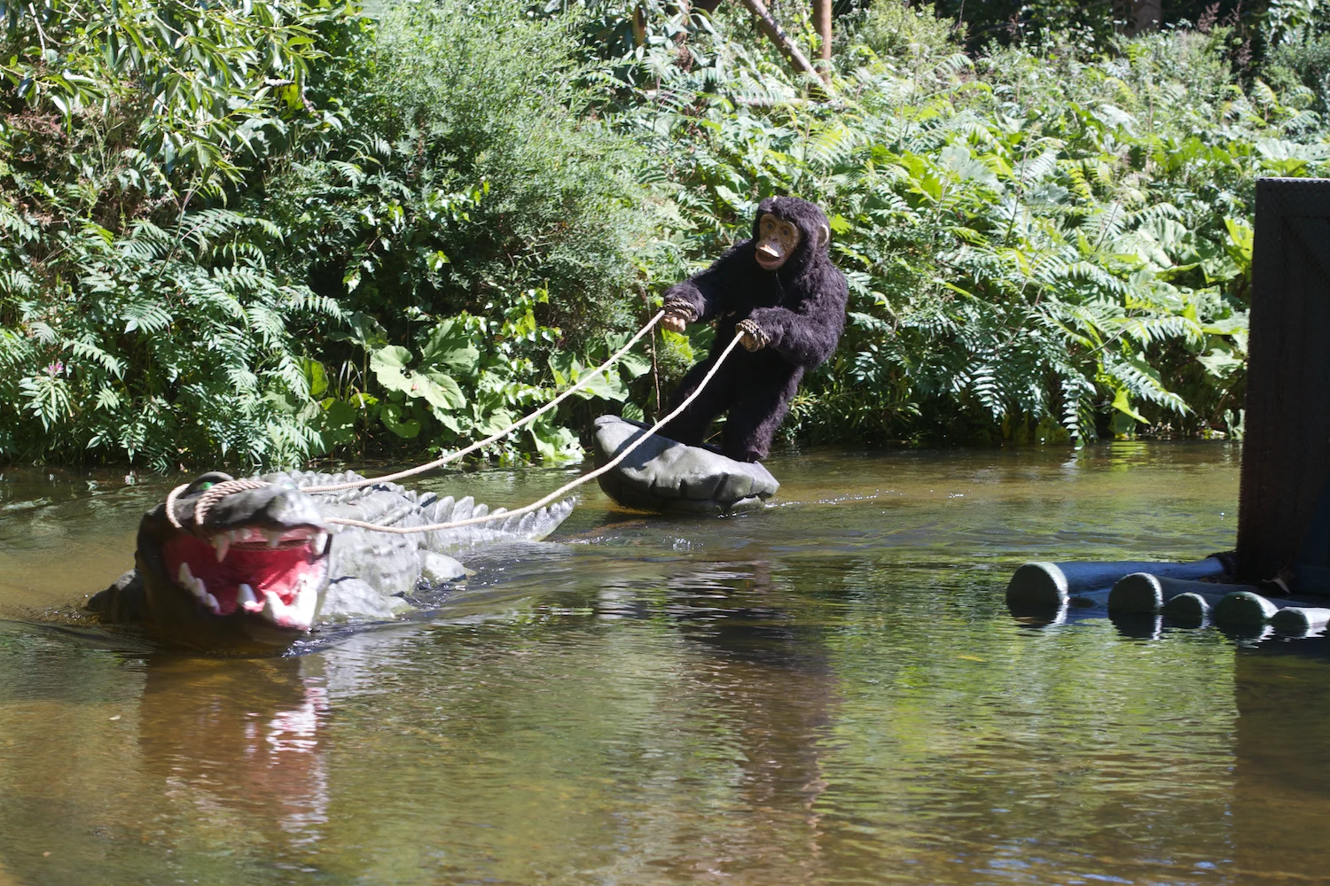 Djurs 2013 2013_07_23 10.jpg