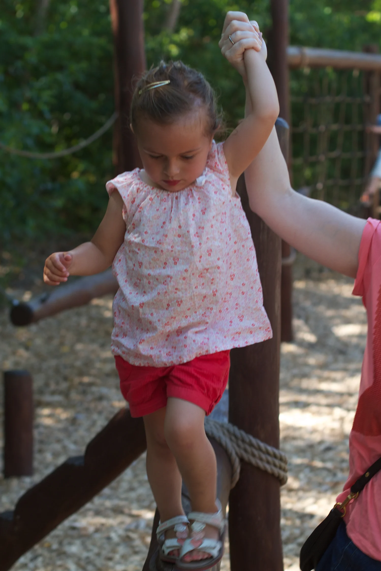 Djurs 2013 2013_07_23 16.jpg