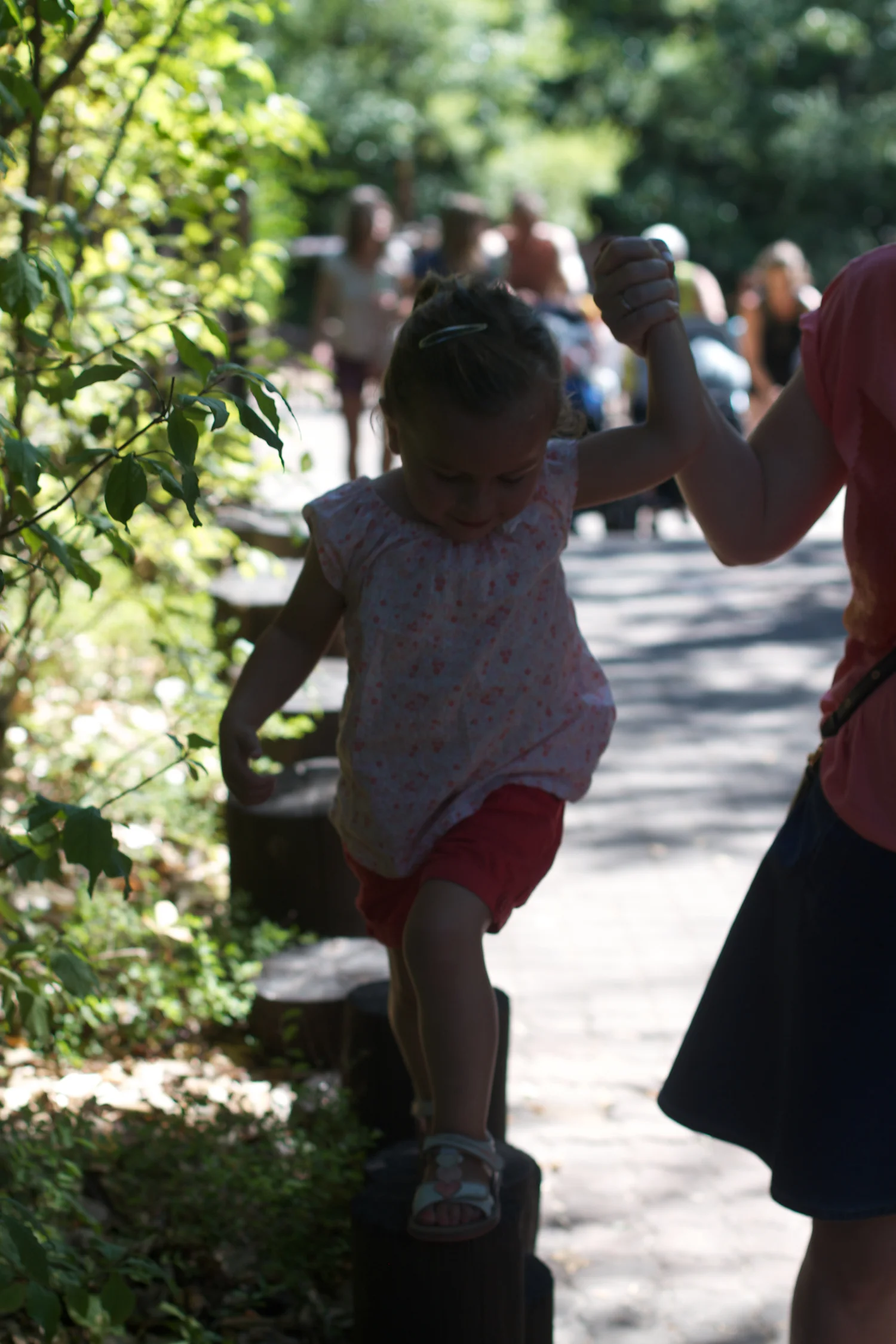 Djurs 2013 2013_07_23 22.jpg