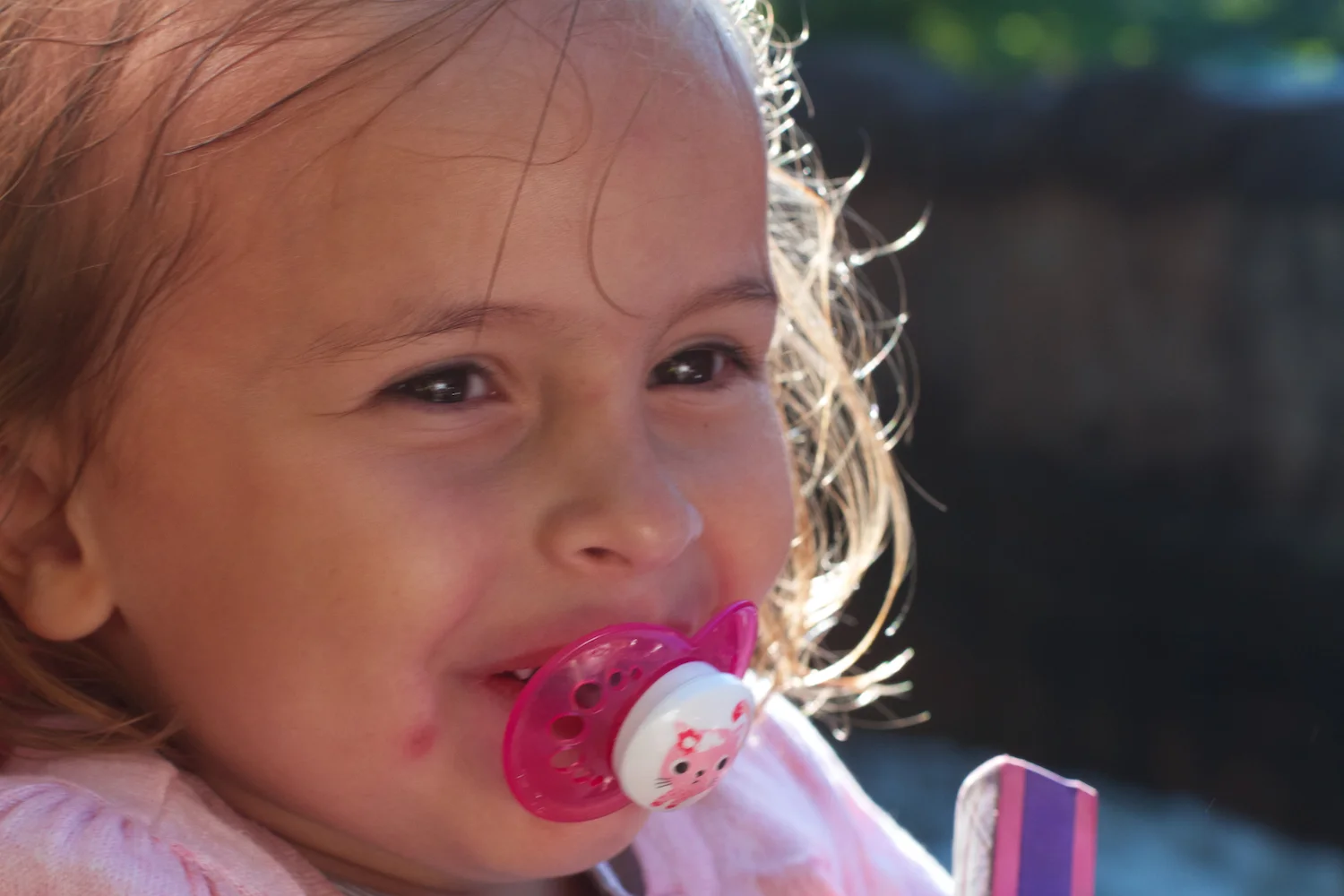 Djurs 2013 2013_07_23 34.jpg