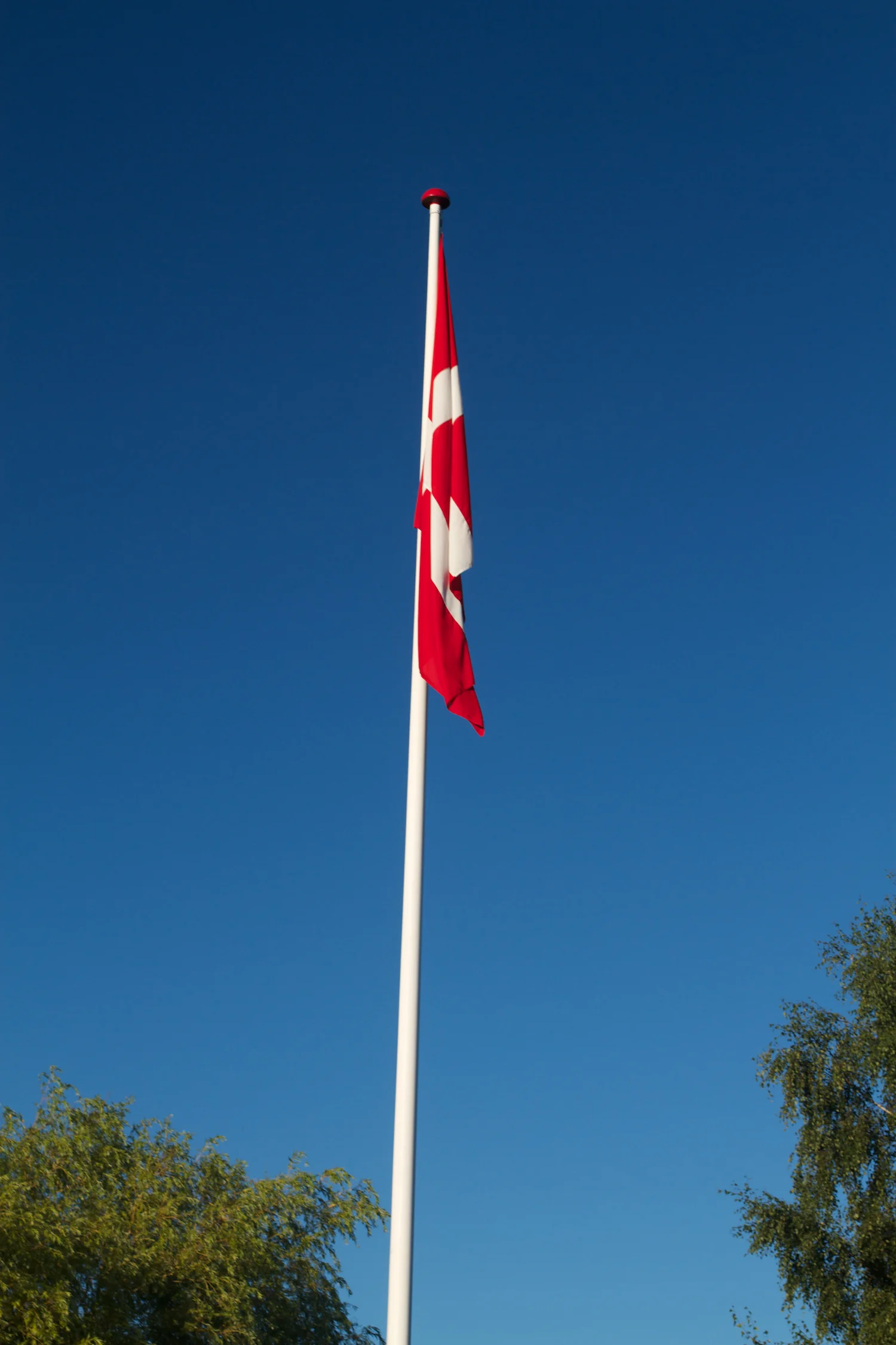 Djurs 2013 2013_07_23 38.jpg