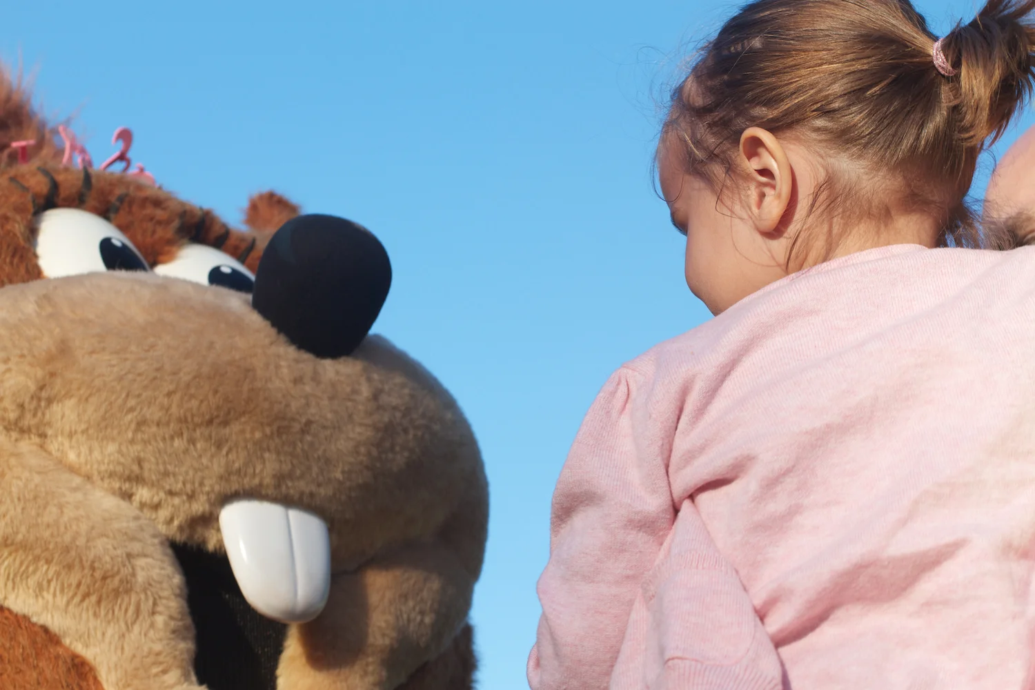 Djurs 2013 2013_07_23 39.jpg