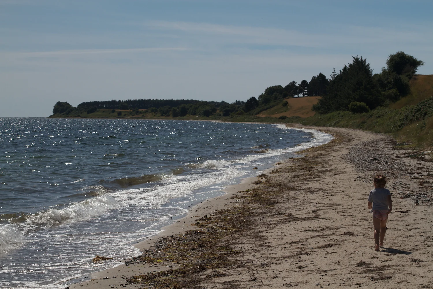 Helgenæs strand 2013_07_24 5.jpg
