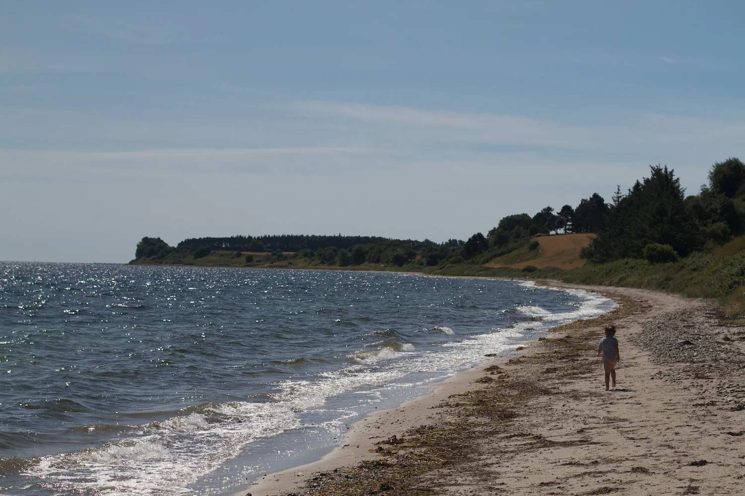 Helgenæs strand 2013_07_24 6.jpg