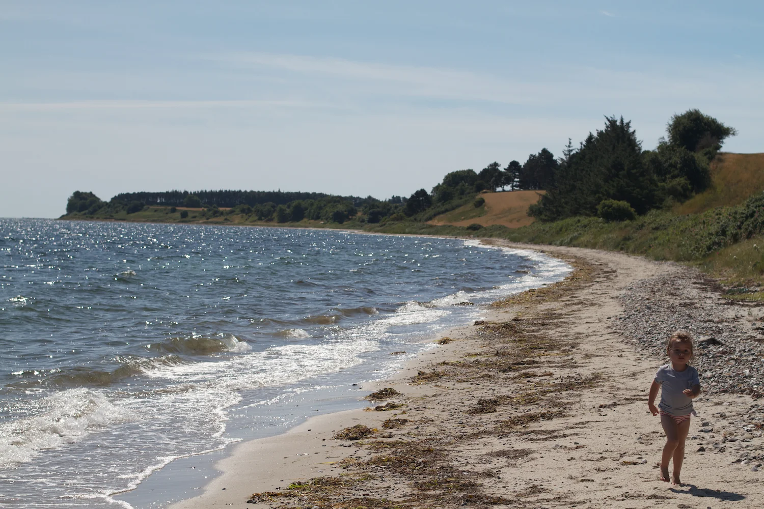 Helgenæs strand 2013_07_24 7.jpg