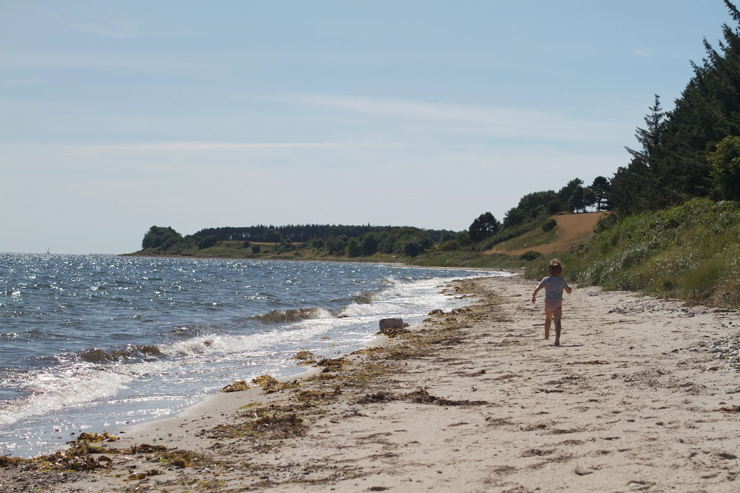 Helgenæs strand 2013_07_24 11.jpg