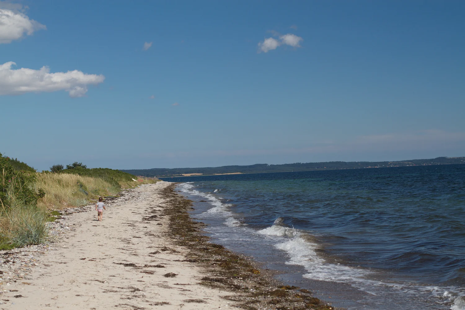 Helgenæs strand 2013_07_24 13.jpg
