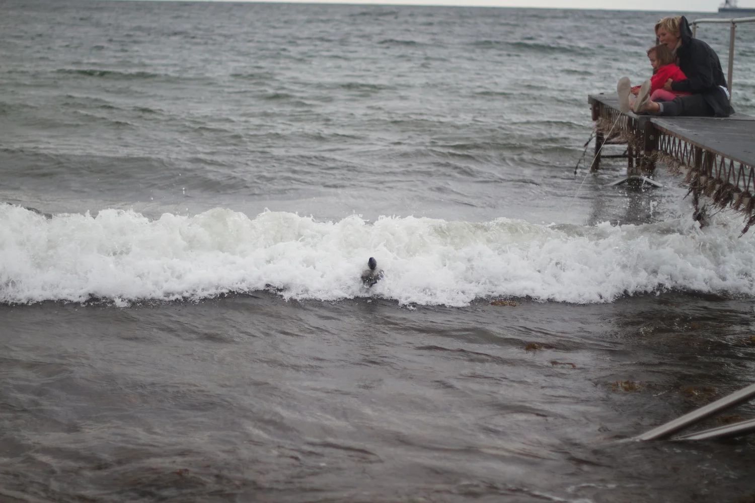 Anna på Røsnæs 2013_07_14 13.jpg