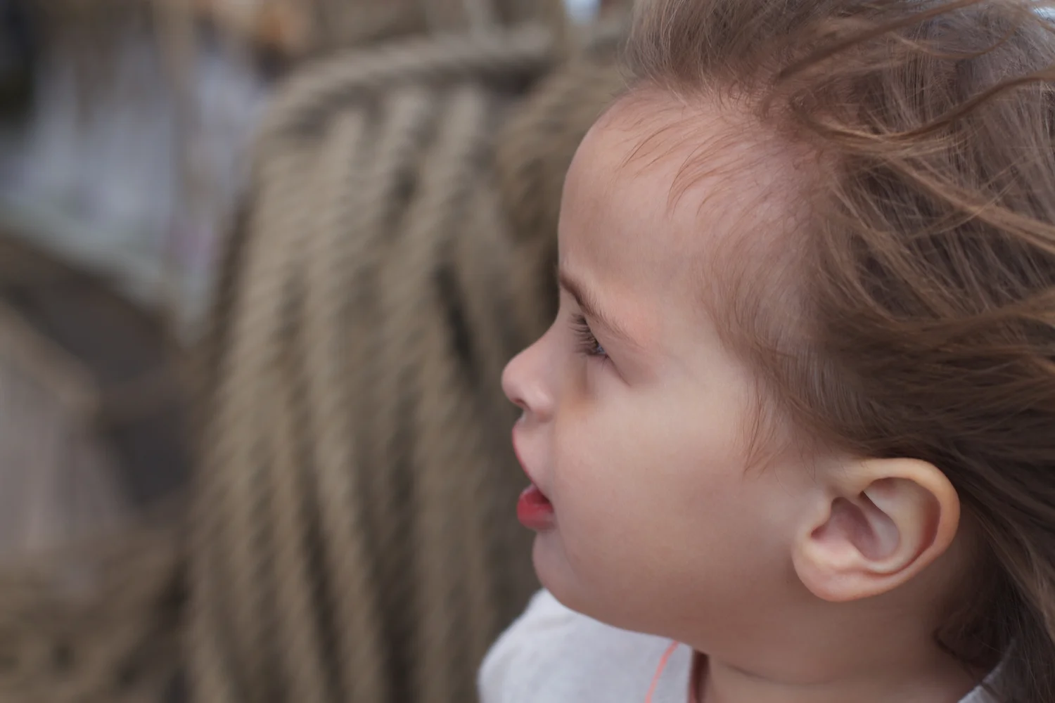 Lilla Dan 2013_06_08 30.jpg