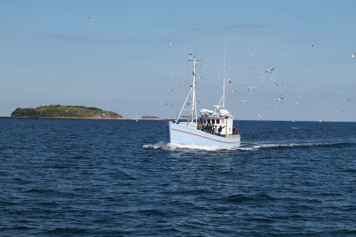 Lilla Dan 2013_06_08 93.jpg