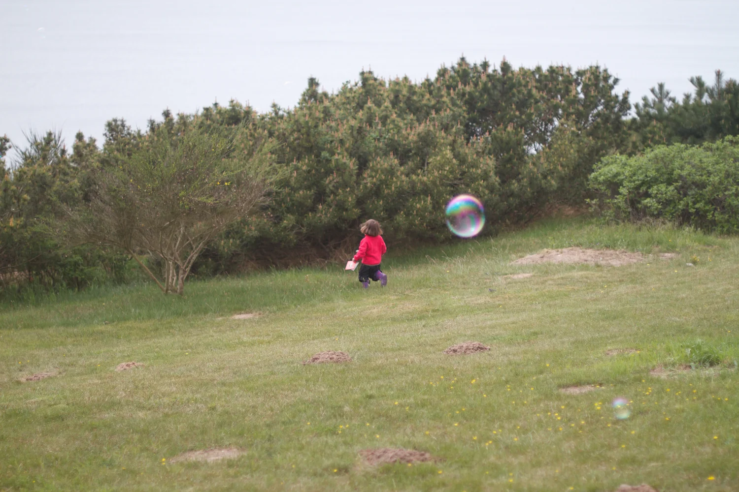 Røsnæs og Else 2013_05_25 8.jpg