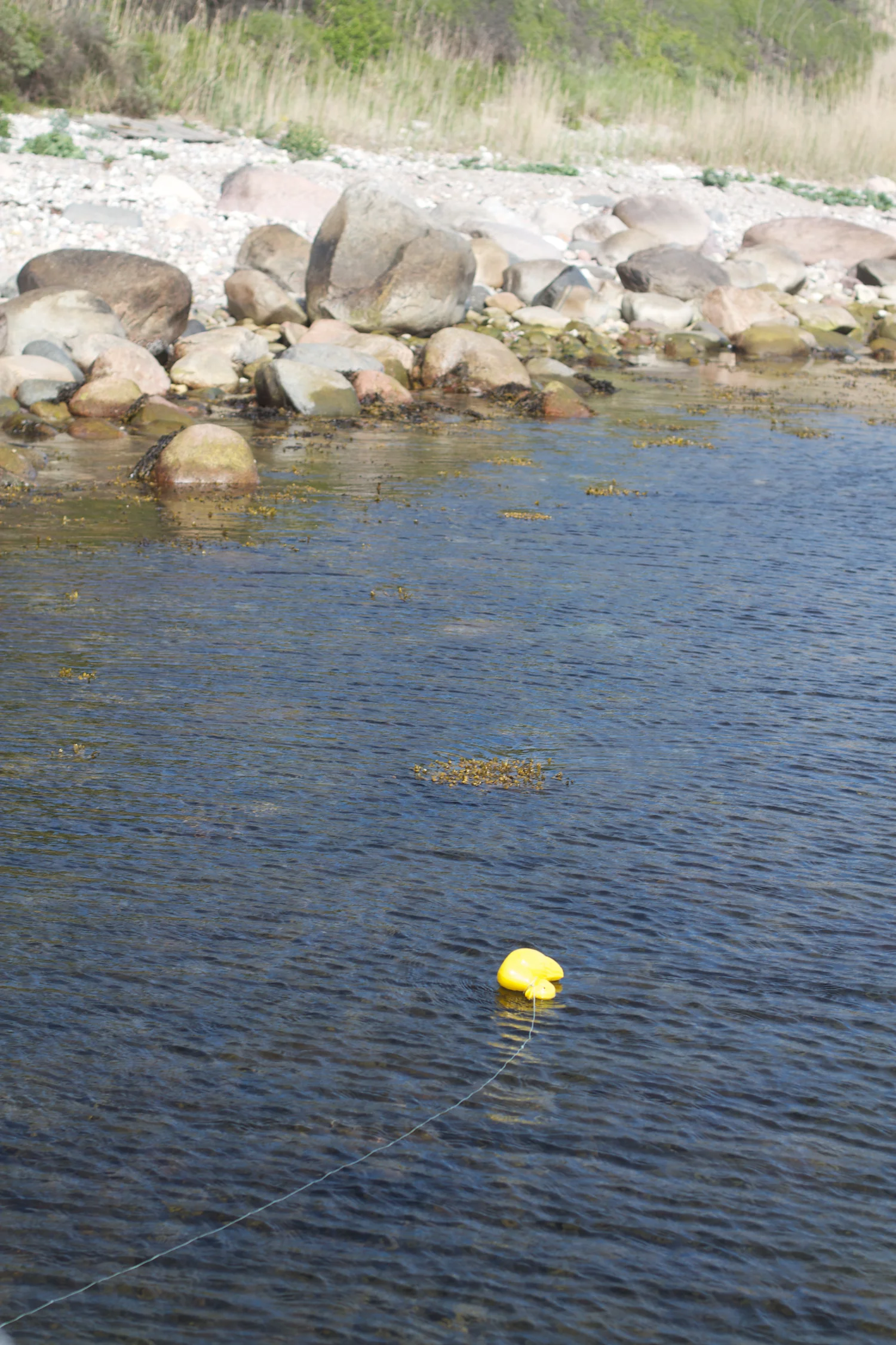 Røsnæs og Else 2013_05_25 40.jpg