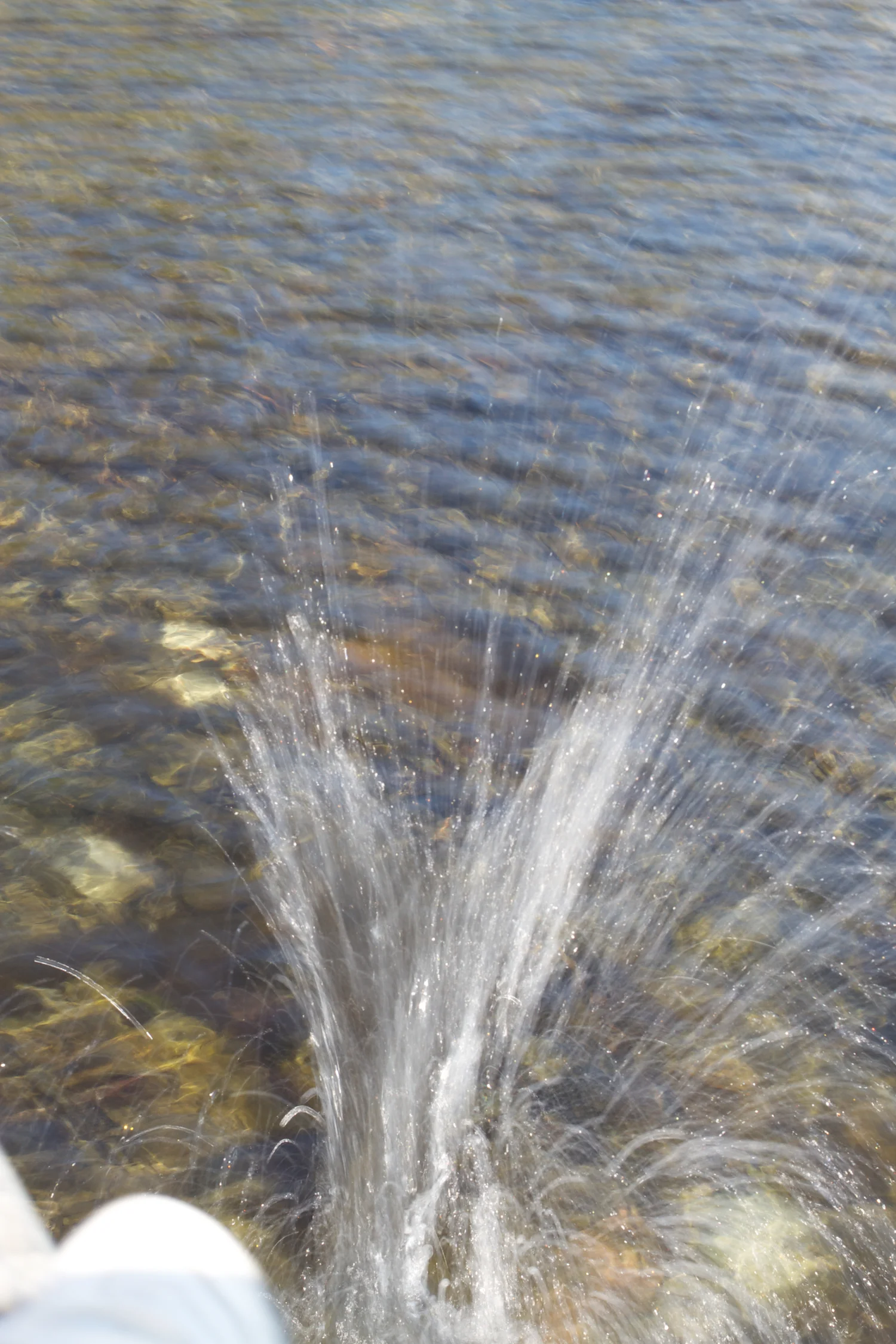 Røsnæs og Else 2013_05_25 51.jpg