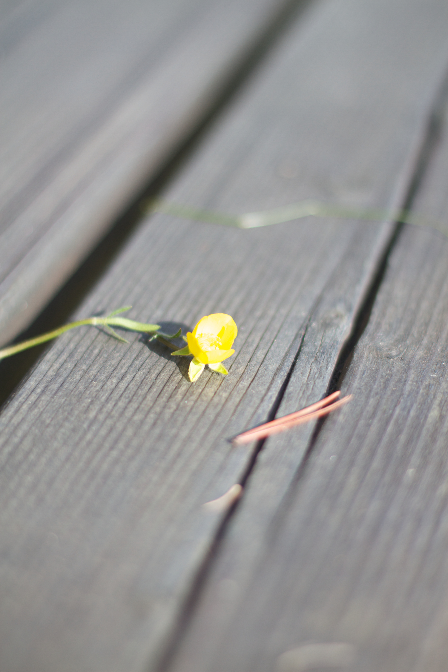 Røsnæs og Else 2013_05_25 56.jpg