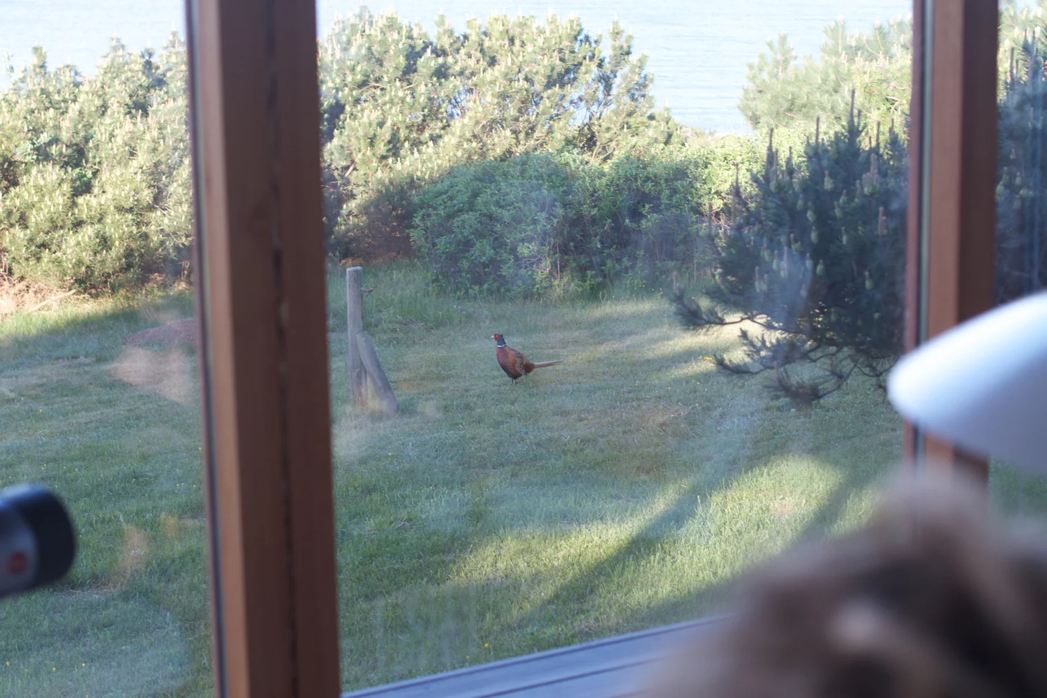 Røsnæs og Else 2013_05_26 57.jpg