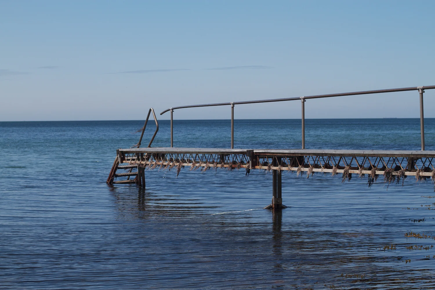 Røsnæs og Else 2013_05_26 64.jpg