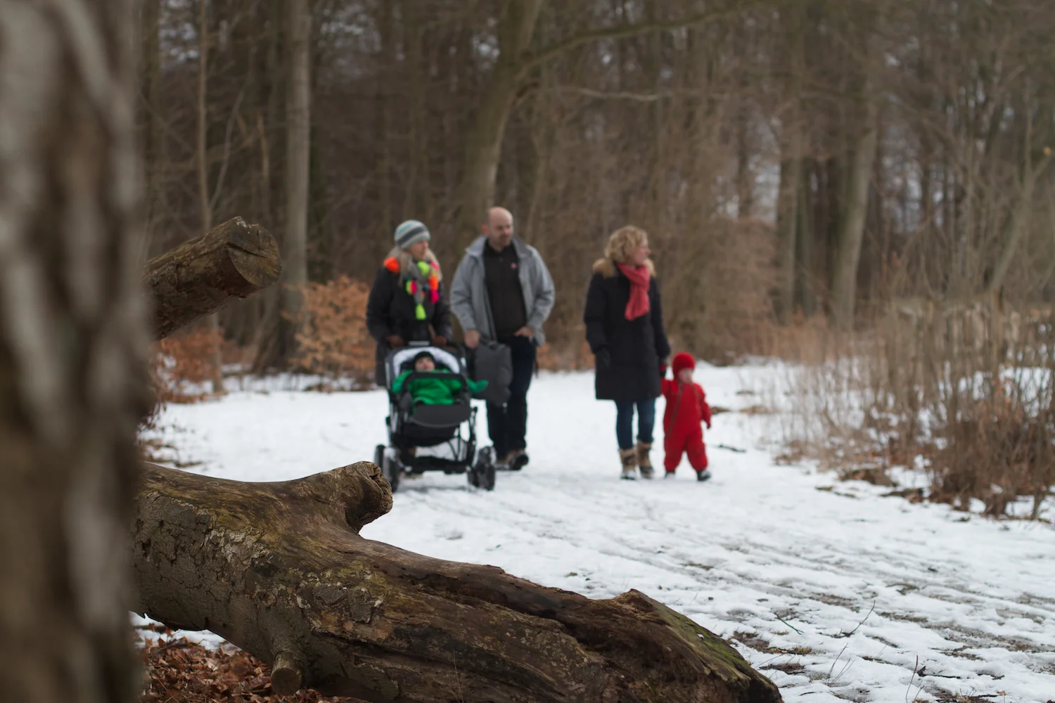 Vintertur 2013_03_30 24.jpg