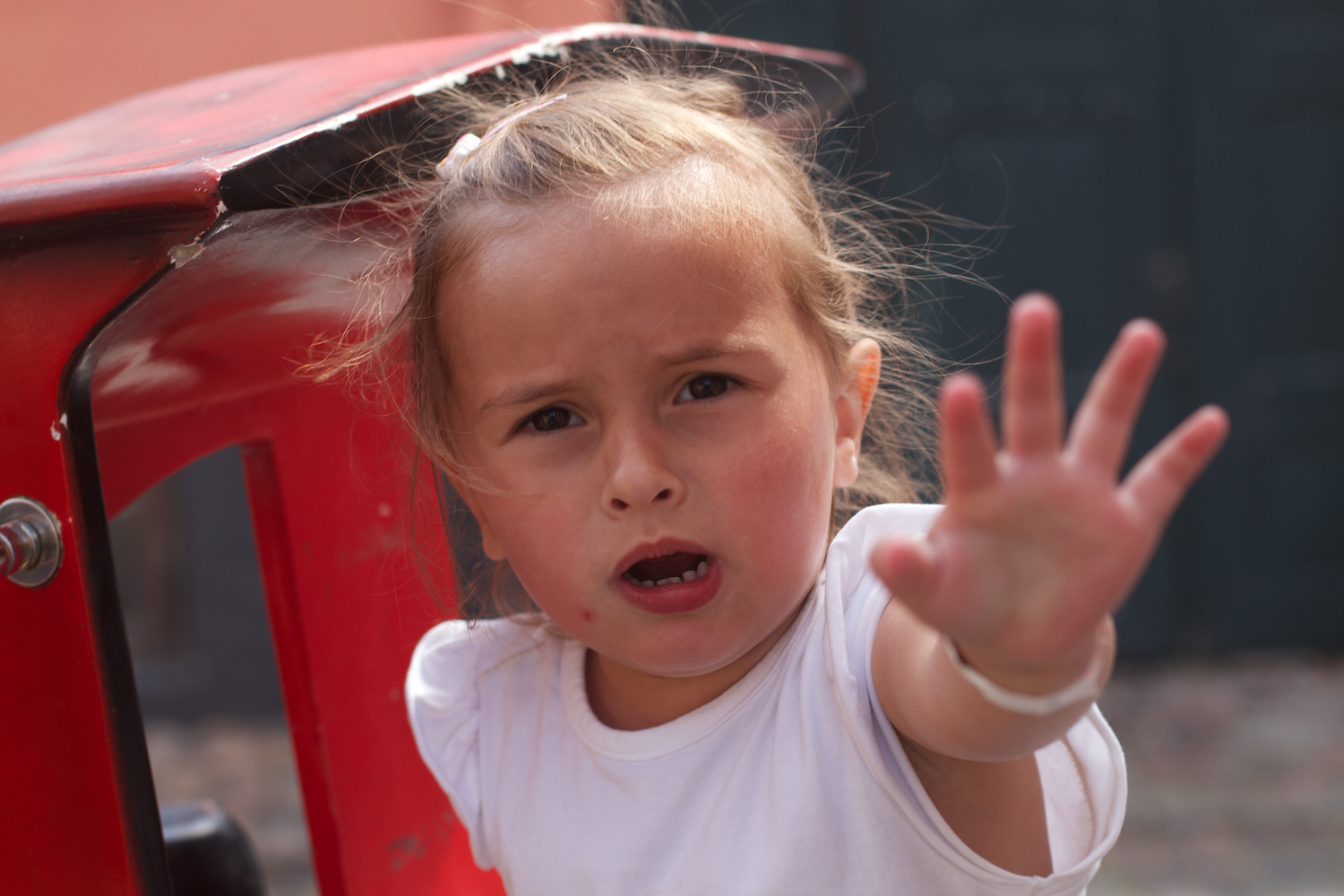 Ebeltoft 2013_07_25 12.jpg