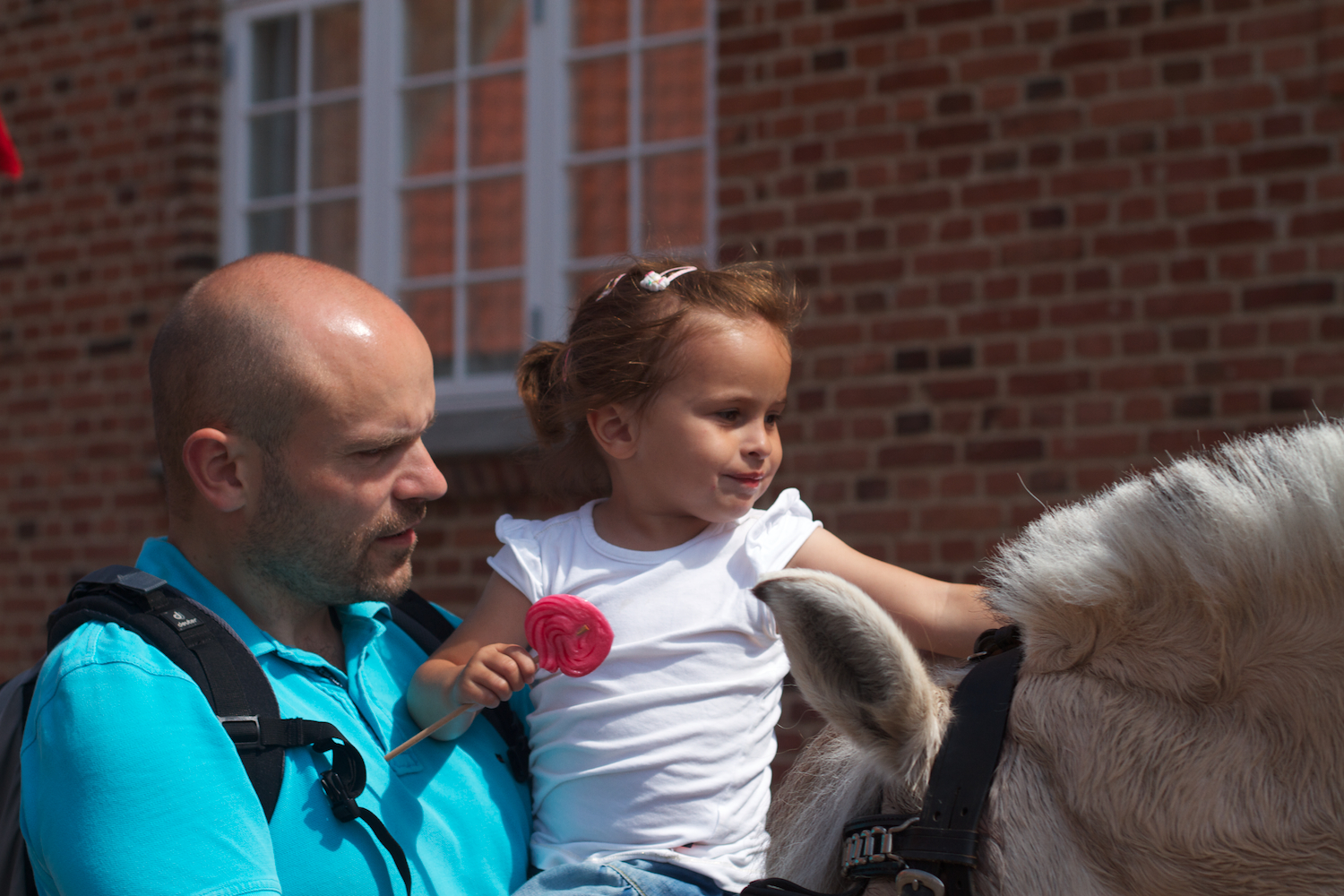 Ebeltoft 2013_07_25 28.jpg