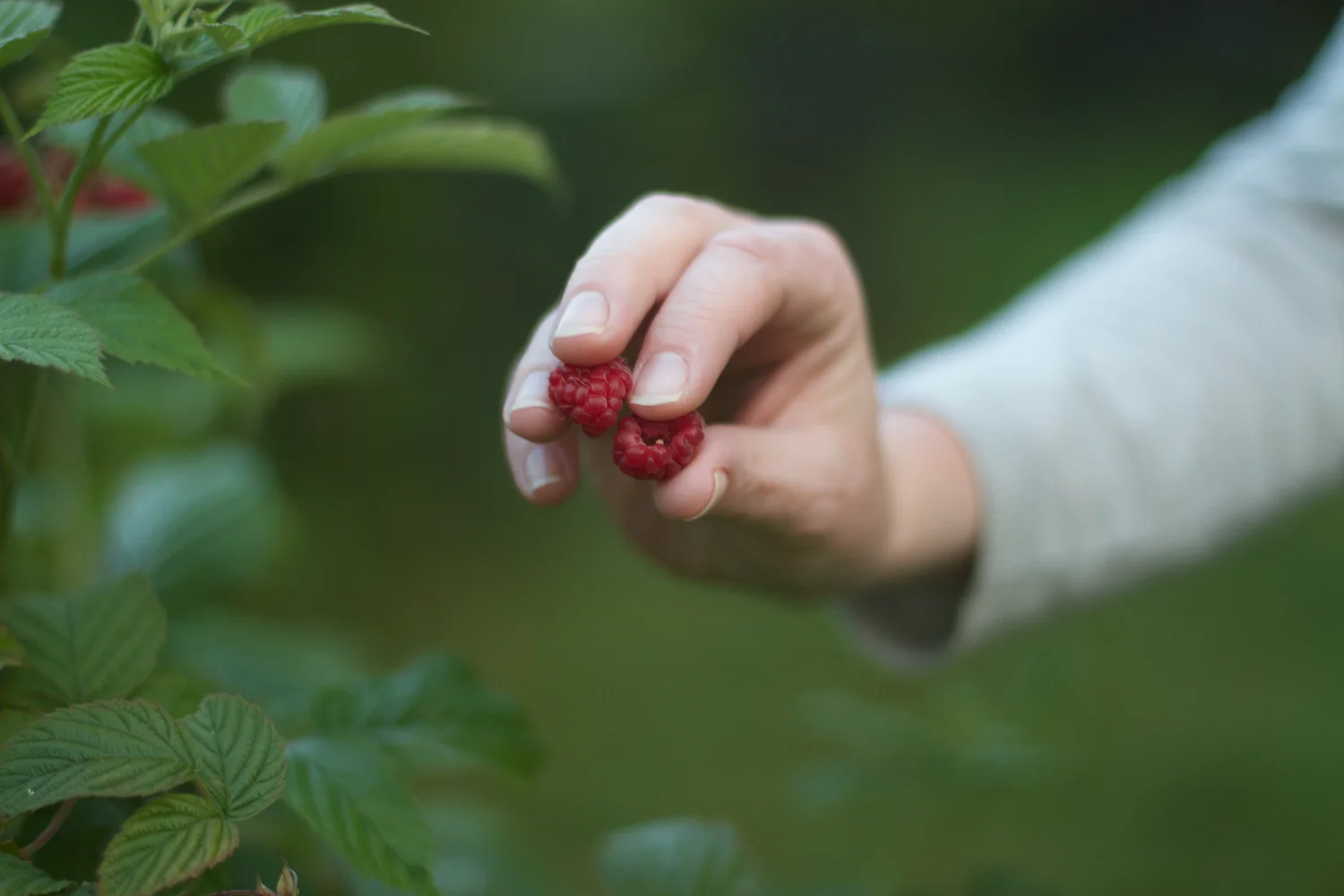 Ebeltoft 2013_07_25 47.jpg