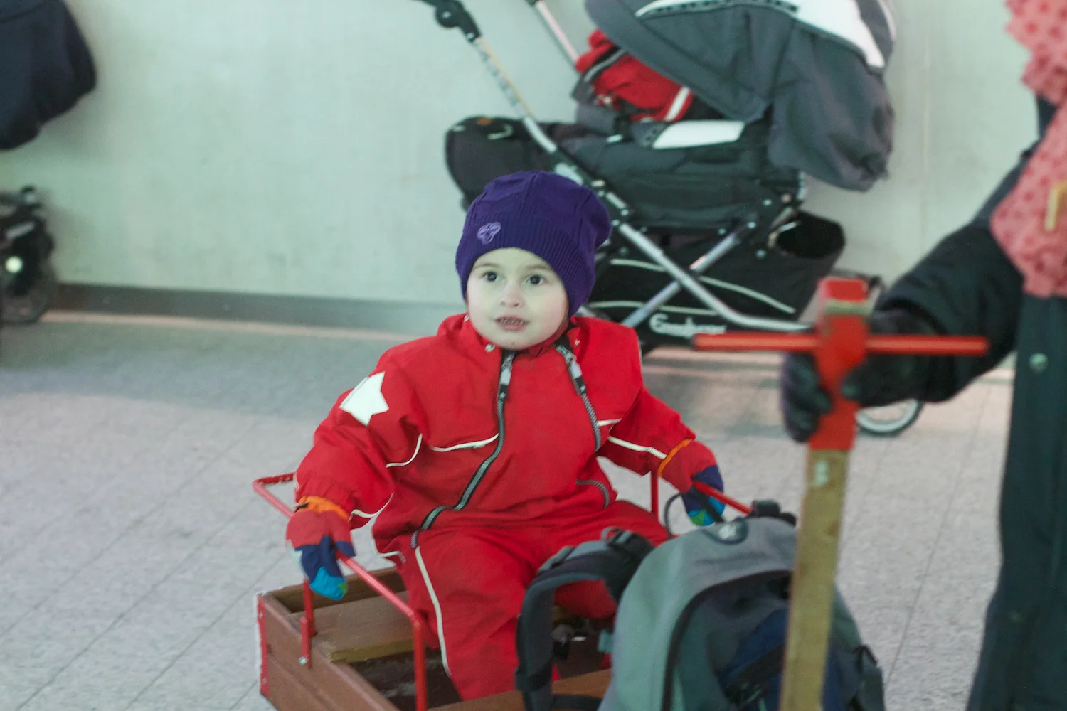 Zoo igen + følge 2013_03_23 2.jpg