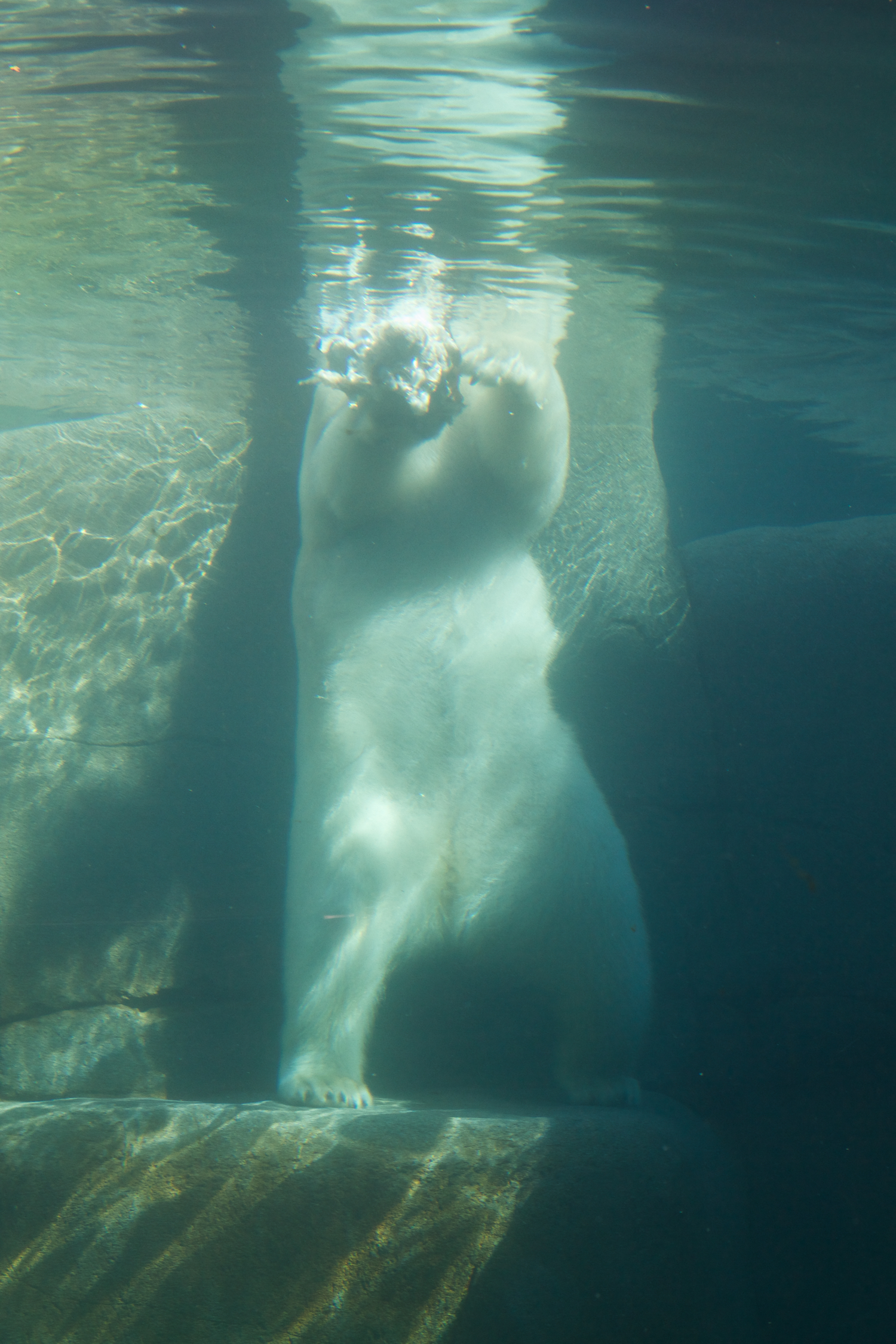 Zoo igen + følge 2013_03_23 1.jpg