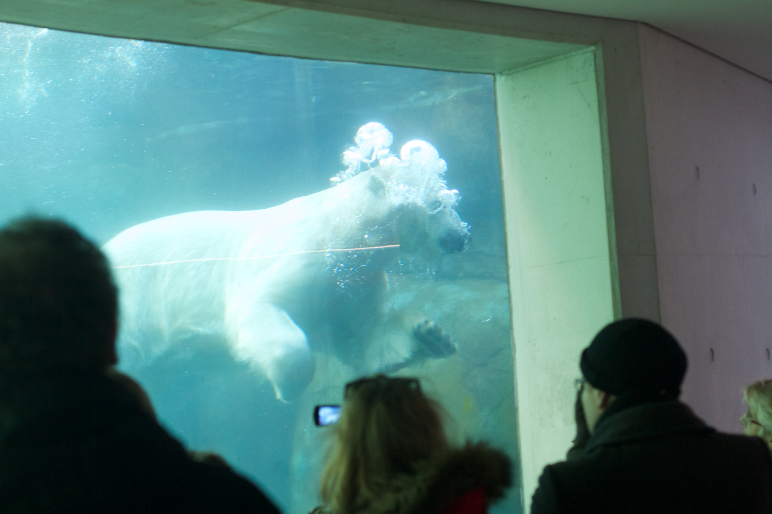 Zoo igen + følge 2013_03_23 4.jpg